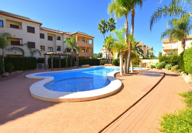 Appartement in Javea - Apartamento Benvinguts Javea - 5021