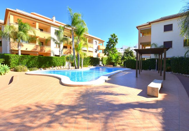 Appartement in Javea - Apartamento Benvinguts Javea - 5021