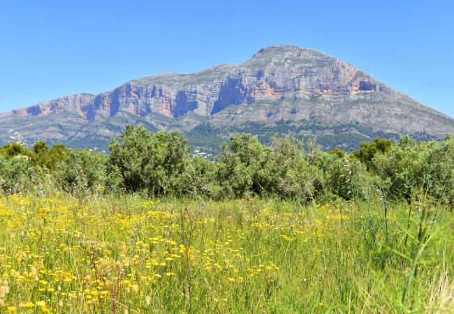 Chalet in Javea - Casa la Finca Javea - 5076