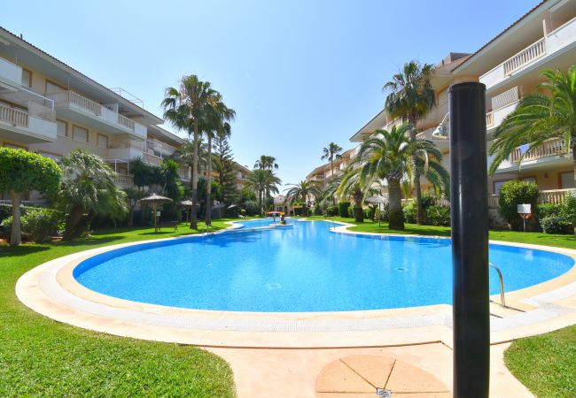 Appartement in Javea - Apartamento Nou Fontana Javea - 5063