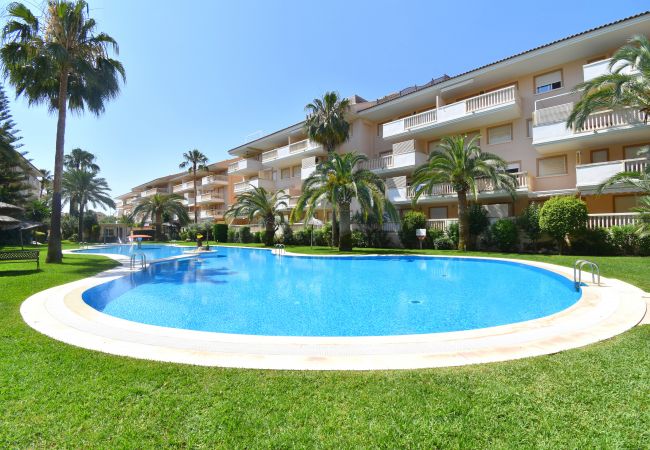 Appartement in Javea - Apartamento Nou Fontana Javea - 5063