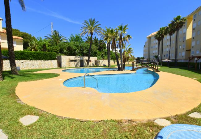 Appartement in Javea - Apartamento Golden Gate Javea - 5005