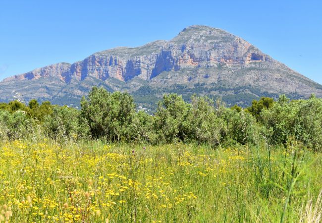 Chalet in Javea - Casa Robyn Jávea - 5022-1 (6p)